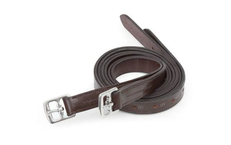 Bridleway Economy Stirrup Leathers in Black